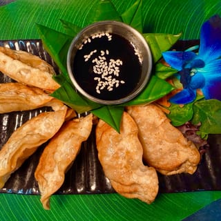 Gyoza